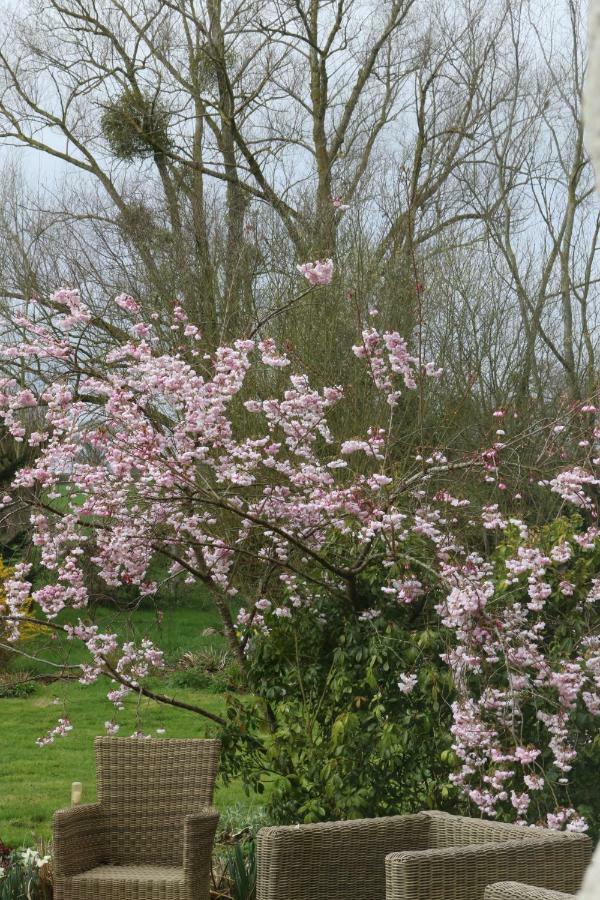 Le Bourgis Bed and Breakfast La Chapelle-Montligeon Buitenkant foto