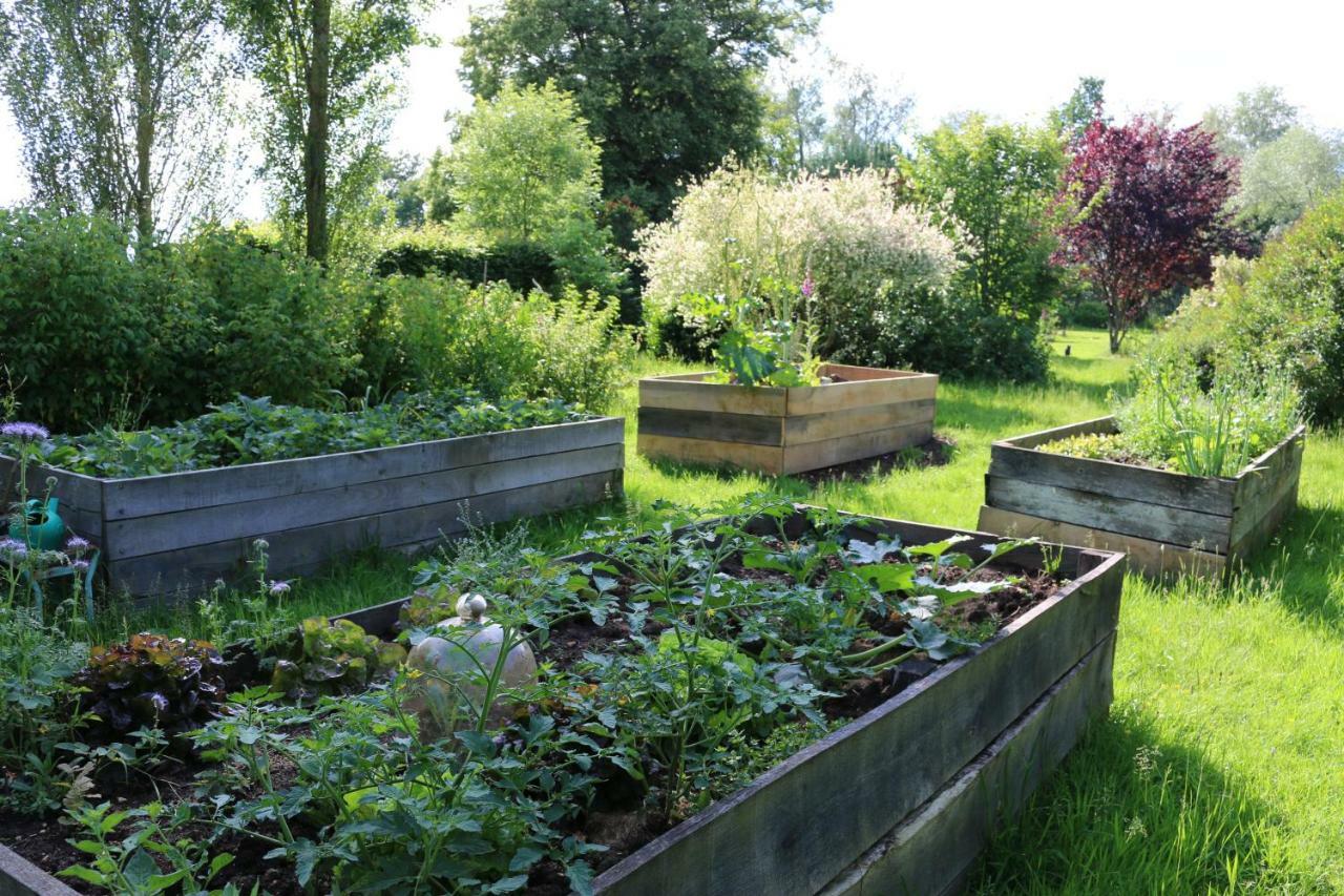Le Bourgis Bed and Breakfast La Chapelle-Montligeon Buitenkant foto