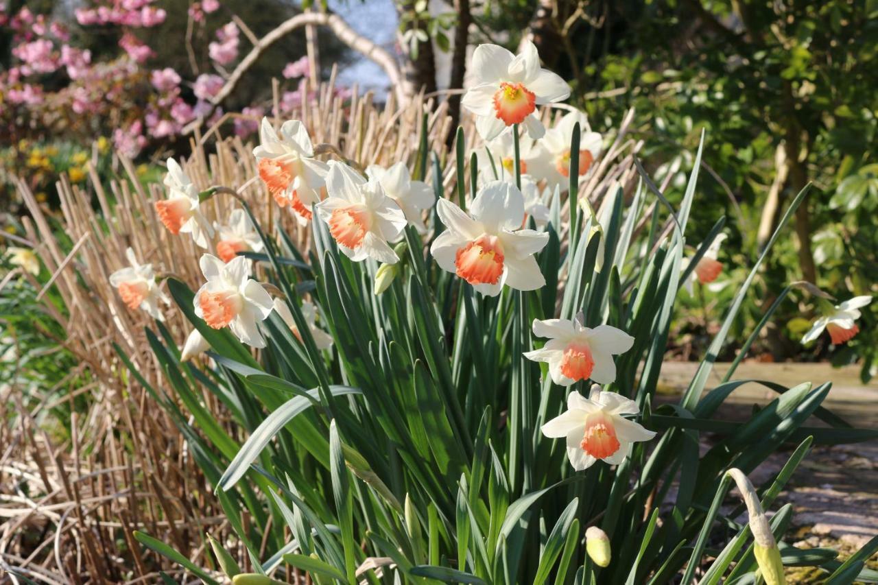 Le Bourgis Bed and Breakfast La Chapelle-Montligeon Buitenkant foto