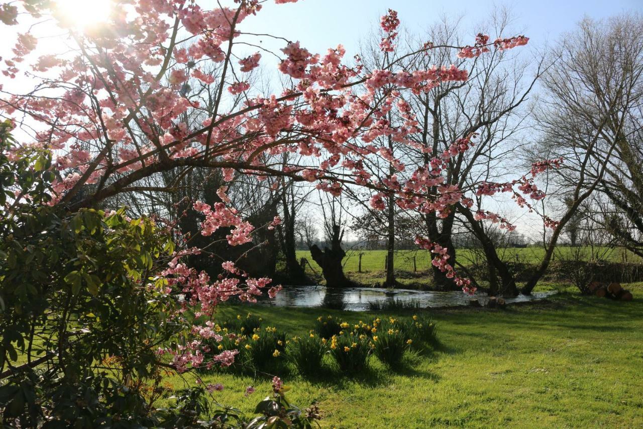 Le Bourgis Bed and Breakfast La Chapelle-Montligeon Buitenkant foto